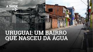 "O SEGREDO DO URUGUAI EM SALVADOR" - A TARDE Play