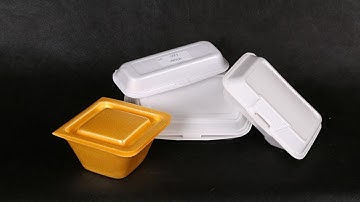 robot arm type PS GPPS Foam food box machine PS food container machinery manufacture