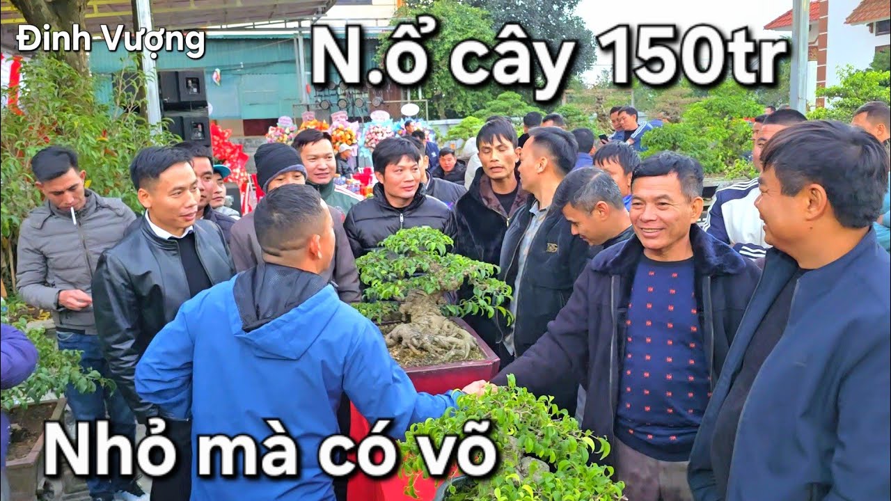 Mọi người vây kín để xem vụ giao dịch cây mini 150tr đẹp mịn tít 