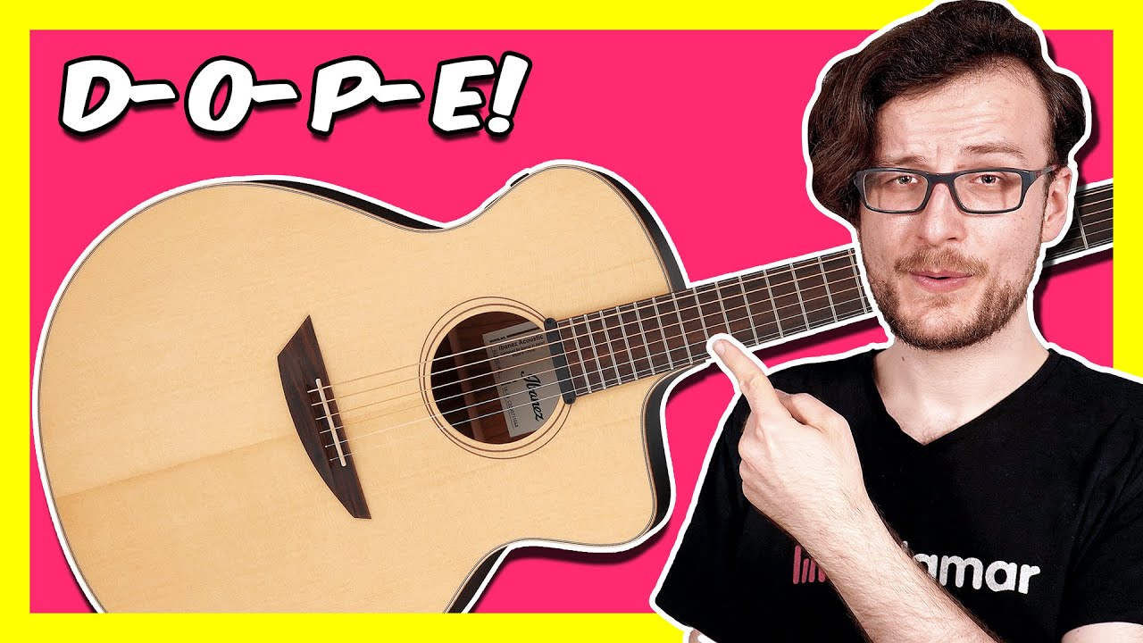 Ibanez PA230 Akustikgitarre - Stay Or Nay