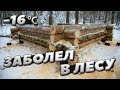 Пришла зима. Строим избу | ЛЕСНОЙ ДОМ | ЗЕМЛЯНКА | ИЗБА | FOREST HOUSE | DUGOUT | HUT