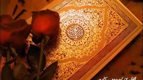 سورة النجم كامله بصوت القارئ محمد ركابى