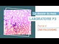 Activités du CNR Paludisme - Partie 4