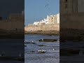 Morocco Beautiful Places To Visit Travel Shortsfeed Facts Youtubeshorts Ytshorts Youtube Morocco Beautiful Places To Visit Travel Shortsfeed Facts Youtubeshorts Ytshorts Youtube