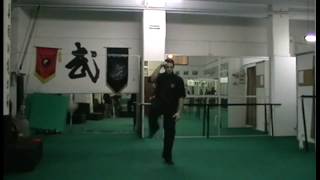 Introduction To Chen Tai Chi Silk Reeling And Explosion Power Traininig,
