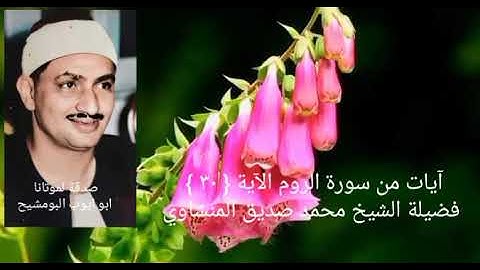 الشيخ محمد صديق المنشاوي _ فأقم وجهك للدين حنيفا _ سورة الروم آية { ٣٠ }