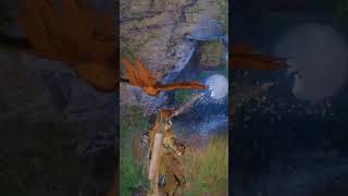 Skyblazer Cloth Helm #gaming #guide #pleasesubscribe #playstation #ps5 #crimsondesertgame