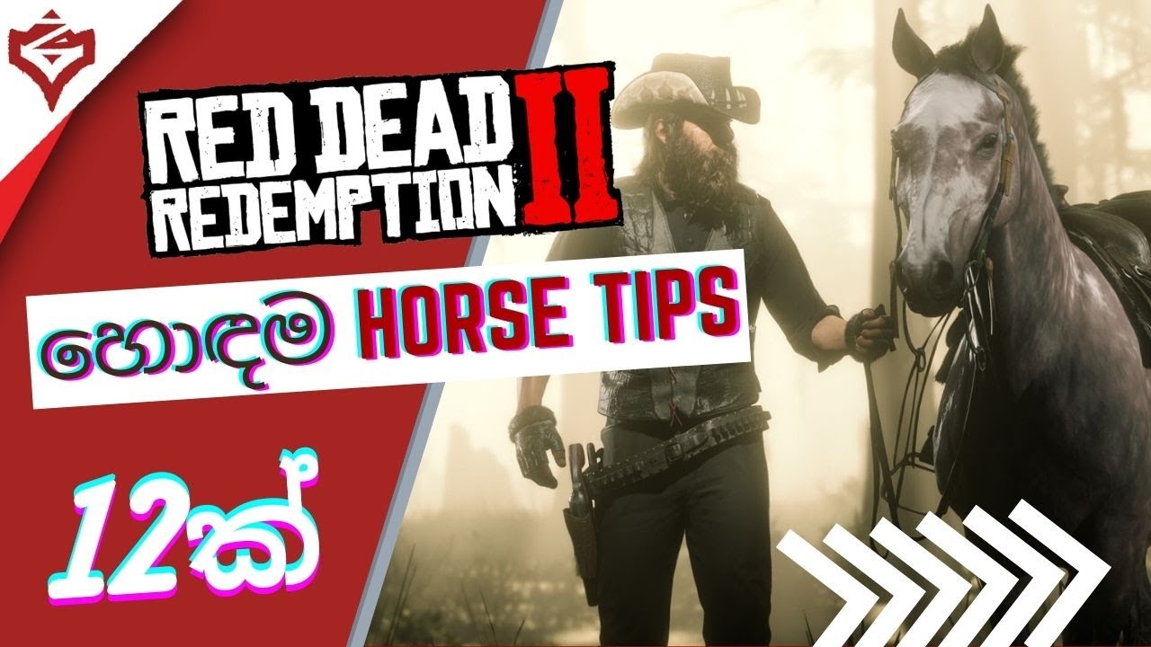 The ONLY ULTIMATE guide for Red Dead Redemption 2 in sinhala HORSE
