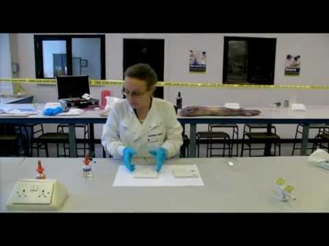 Forensic Science: analysis of drugs using colour tests