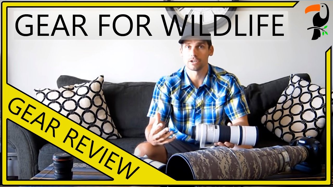 Photography Equipment - The Best Equipment for Wildlife Photography