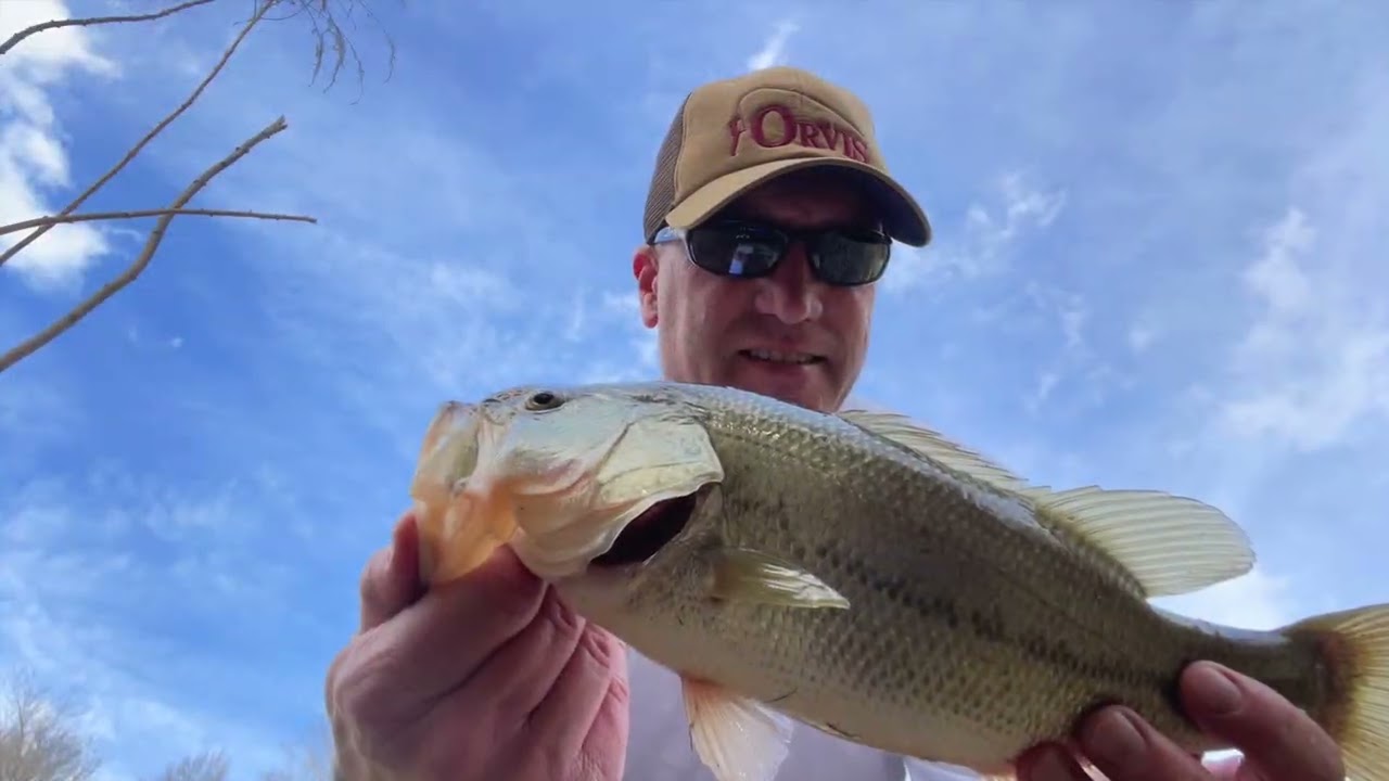 Bass Therapy - Finding Serenity in the Catch 