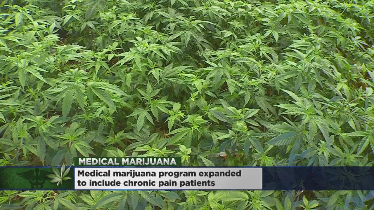 Minnesota Extends Medical Pot Program To Cover Pain