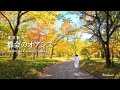 東京散歩 都内おすすめ紅葉スポット 秋の皇居東御苑 | 大人の休日
