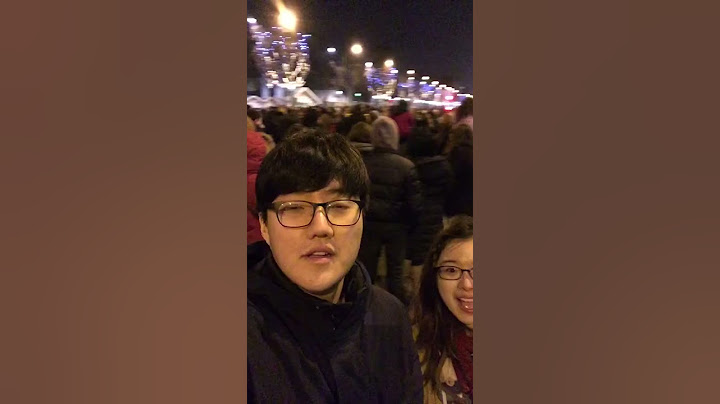 프랑스 소매치기