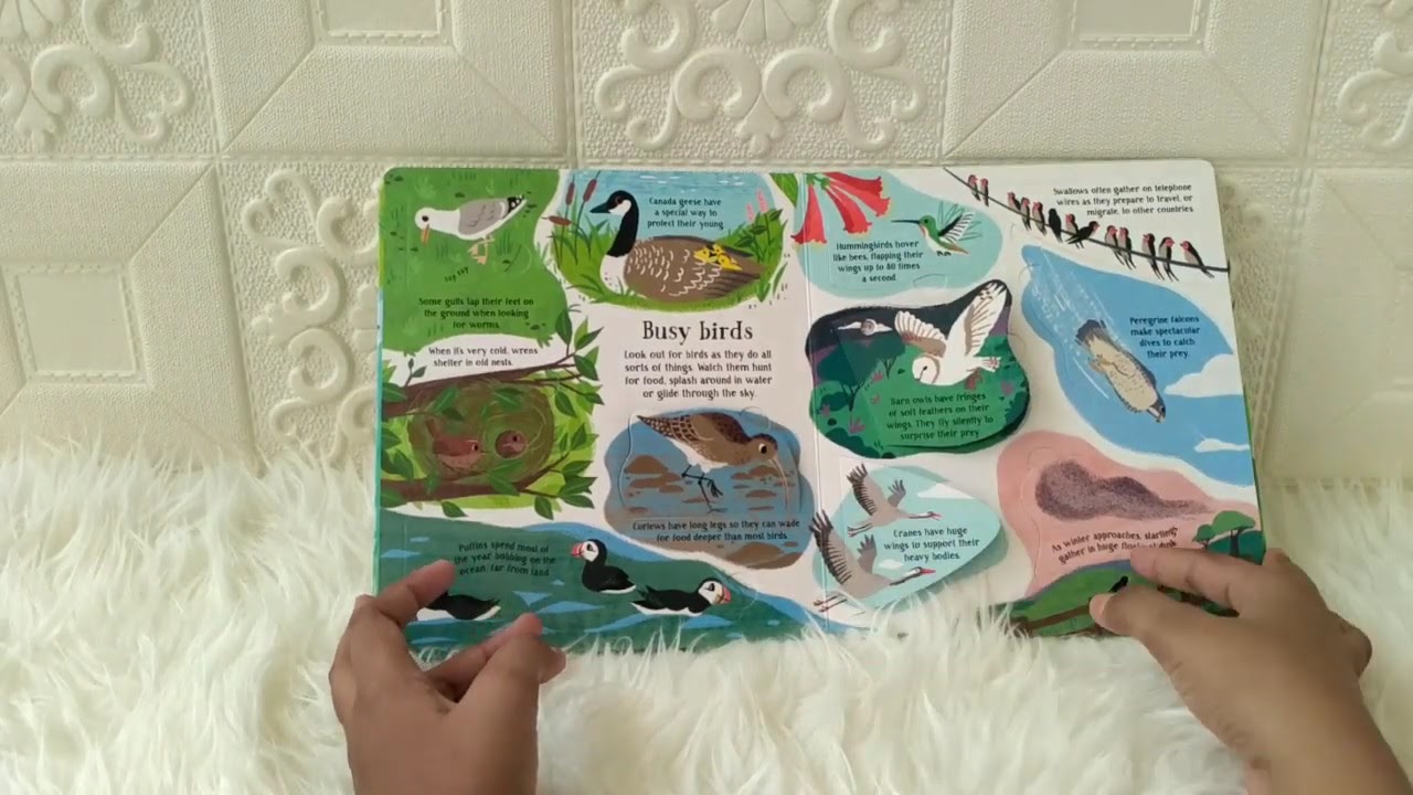 Usborne Look Inside Nature With Over 80 Flaps To Lift