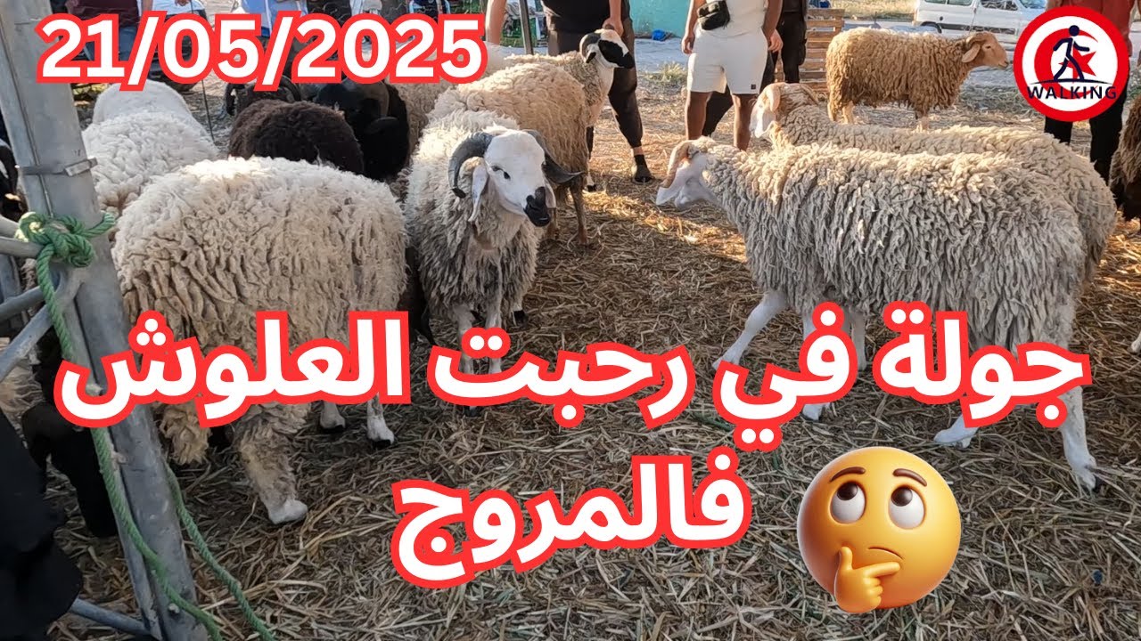 جولة في رحبة العلوش فالمروج (فلاحة هبطت علالشها ) 4k