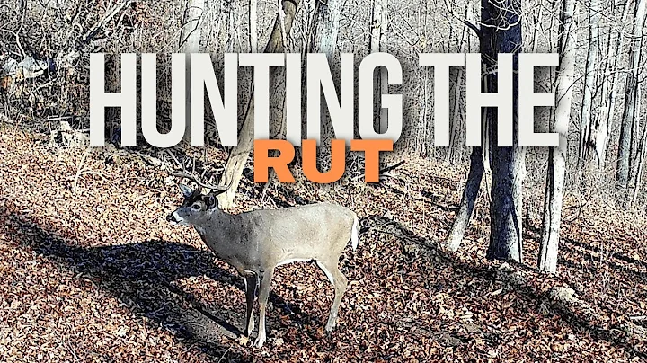 How To Hunt The Rut