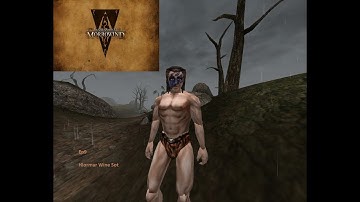 The Elder Scrolls 3 Morrowind : Episode 9, Hlormar Wine Sot