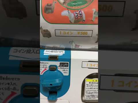 アルパカガチャ