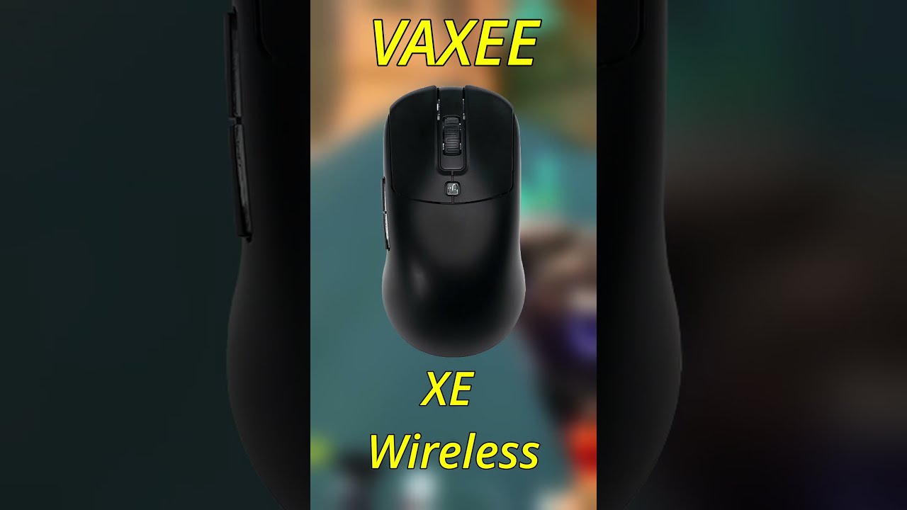 TOP5 MOST POPULAR Mice By VALORANT PROFESSIONALS 