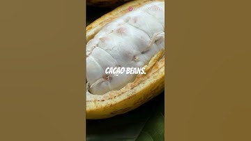 The Dark Secrets of Cacao Fruit #healthyeating #superfood #fruit #facts #healthyliving