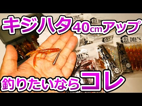 キジハタ釣るなら絶対に投げて欲しい オススメ爆釣ワームセレクションno 1 ケイテック スイングインパクト Youtube