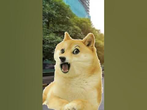 Doge gigachad ep1 - YouTube
