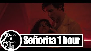 Señorita - Shawn Mendes, Camila Cabello (1 hour Loop)