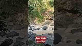 innal habibal Musthofa Dewi hajar