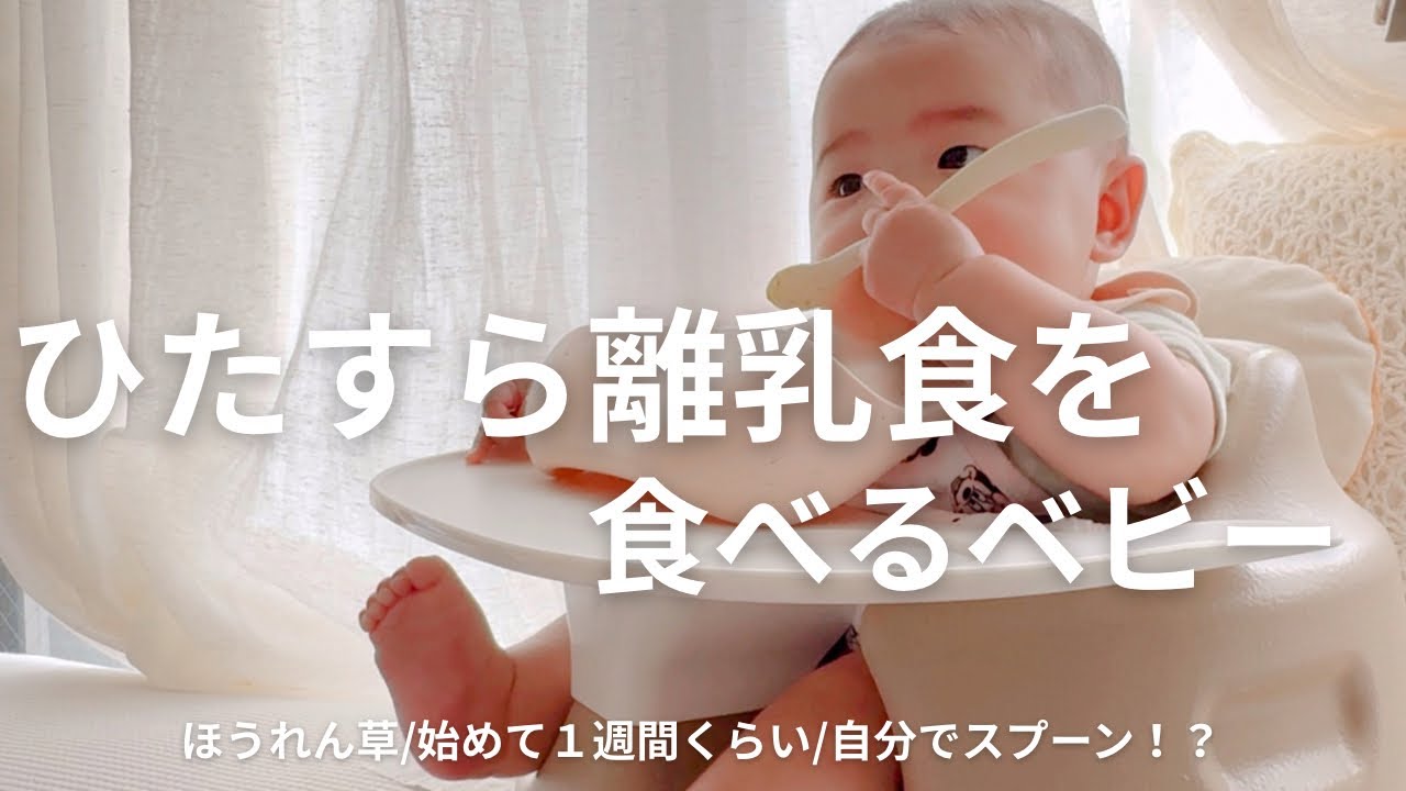 はじめて１週間くらい【ひたすら離乳食たべる生後5ヶ月ベビー】パウチのお粥にも挑戦！！