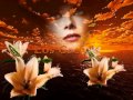 Descargar Los Greys Mix 480p - Esteban Gonzalez Descargar Los Greys Mix 480p - Esteban Gonzalez