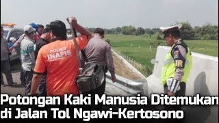 Potongan Kaki Manusia Ditemukan di Jalan Tol Ngawi-Kertosono, Diperkirakan Sudah Sekitar Seminggu