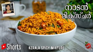 Mixture Recipe in Malayalam | Spicy Kerala Mixture Recipe | Micher Recipe | Snack Recipe Malayalam