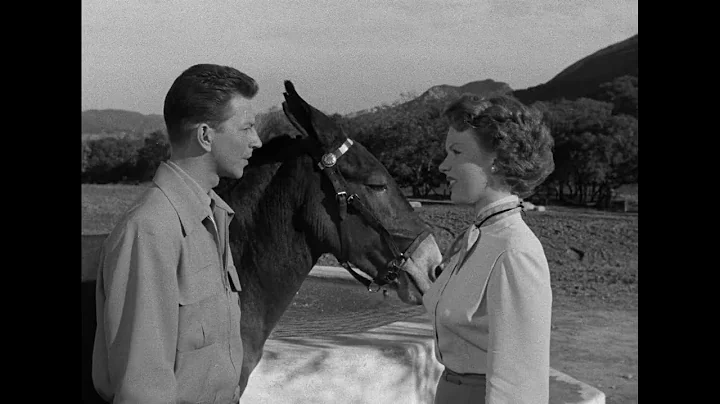 Francis Goes To The Races 1951 : Donald O'Connor & Piper Laurie