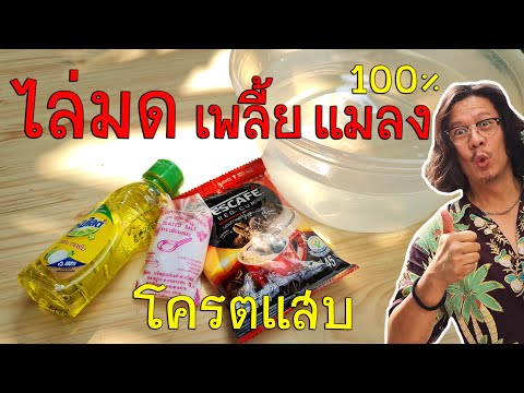 สูตรเด็ด กำจัดมด กำจัดเพลี้ย ง่ายๆแค่ 3บาท​ ประหยัดเงิน แต่เห็นผลชัด 100%  | pitt dad style