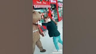 Brown bear Funny video in Tik Tok China/douyin