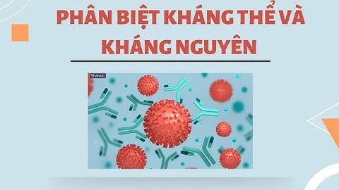 Bản chất kháng nguyên kháng thể là gì