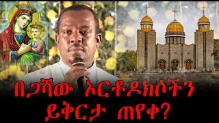 በጋሻው አርቶክሶችን ይቅርታ ጠየቀ? | Ethiopia | Megabi Begashaw