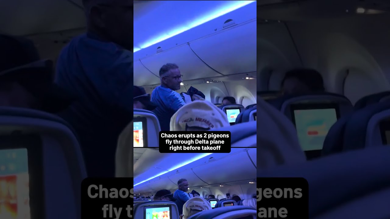 Chaos Erupts As 2 Pigeons Fly Through Delta Plane Right Before Takeoff