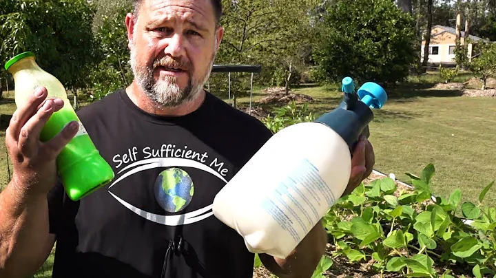 10 Organic Ways to Control Pests in the Garden - DayDayNews