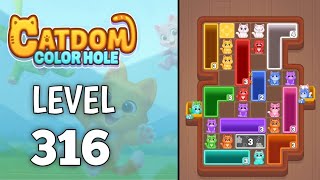 Catdom: Color hole Level 316 walkthrough solution 