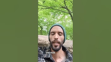 🌄 DAILY MORNING REFLECTION💫 THE CORE PROCESS: OBSERVE & WITNESS #butepark #cardiff #meditation