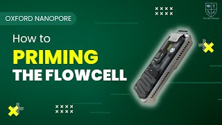 NANOPORE MINION - HOW TO PRIMING THE FLOW CELL