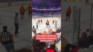 Nice fight at ECHL Greensboro Gargoyles hockey game. #gargoyles #greensborogargoyles #echl #hockey Nice fight at ECHL Greensboro Gargoyles hockey game. #gargoyles #greensborogargoyles #echl #hockey