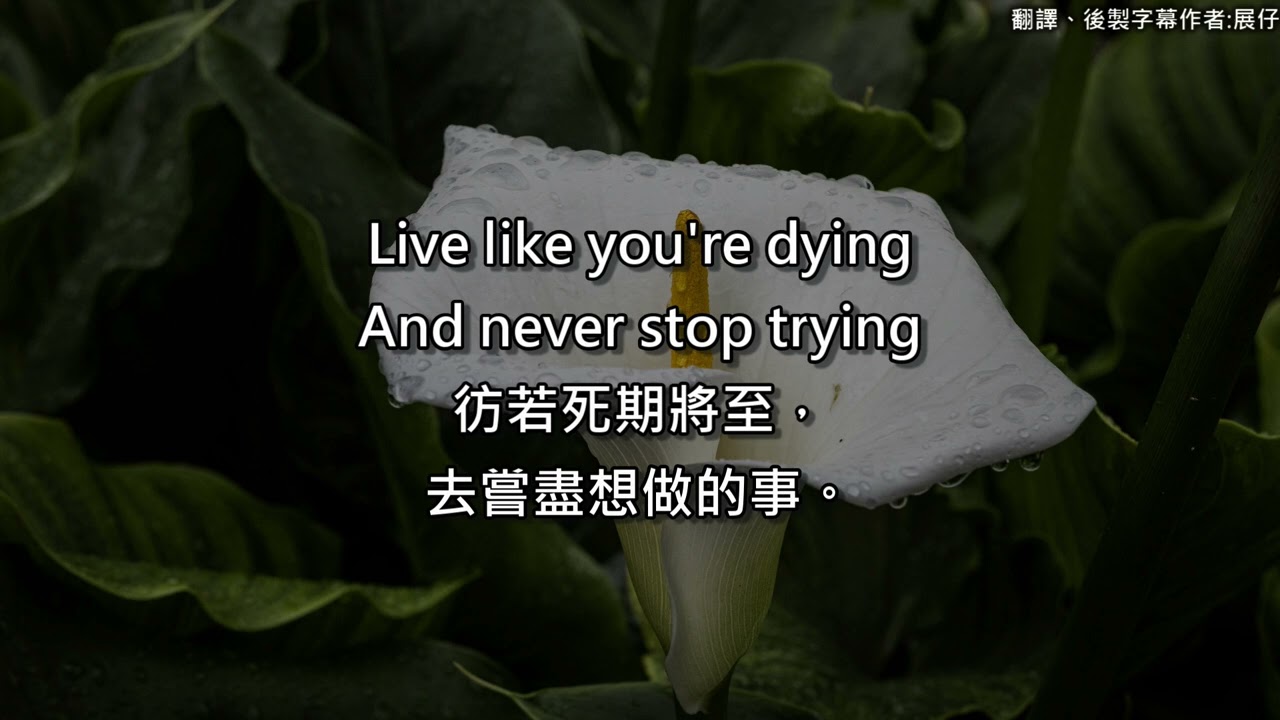 Lenka  - Live Like You’re Dying 中英文歌詞翻譯