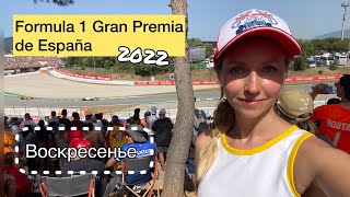 Итоги гонки Формула 1, Гран при Испании, Барселона 2022| Разочарование