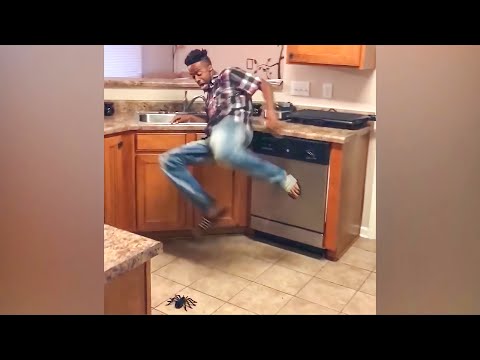 Try Not To Laugh Challenge! Funny Pranks and Scare Cam Fails 2021 #5