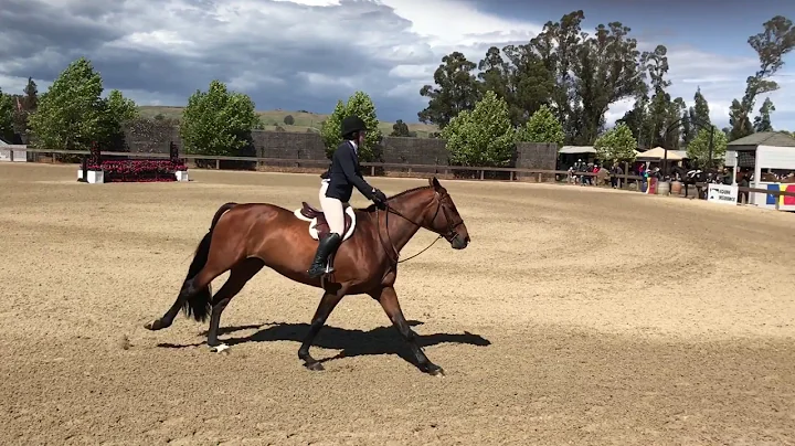 Naomi Rubin and Bunistar, 1st Place, 3'6" Junior Hunters, Sonoma Spring Classic 2017