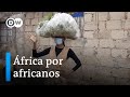 Informao credvel e histrias inspiradoras dw portugus para frica no youtube