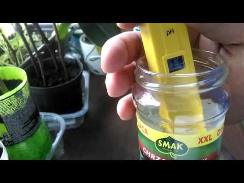 Wideo: Jak używać proszku do kalibracji pH?